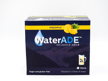 Box 1 x 24 Sachets - Individual flavours