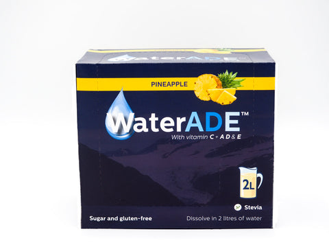 Box 1 x 24 Sachets - Individual flavours